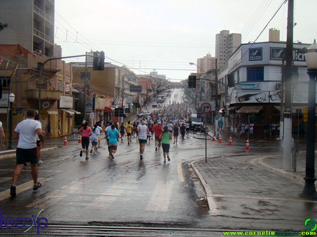 DSC07922.jpg