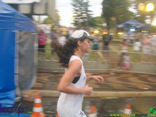 DSC08009.jpg