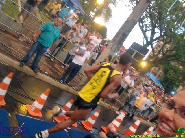 DSC08047.jpg