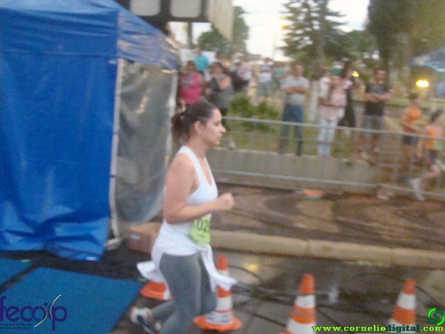DSC08117.jpg