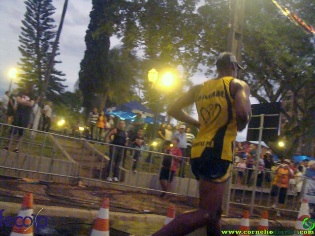 DSC08217.jpg