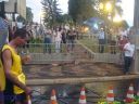 DSC08124.jpg