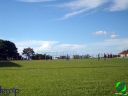 DSC09649.jpg