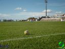 DSC09650.jpg