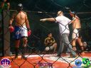 DSC06747.jpg