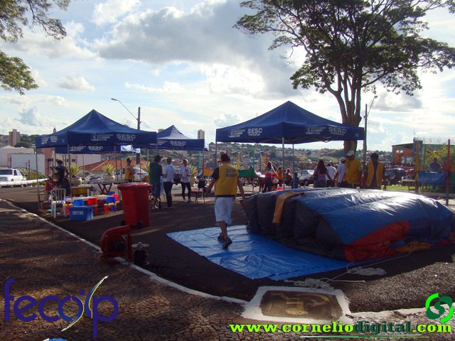 DSC05422.jpg