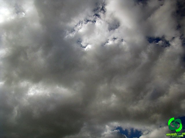 DSC05791.jpg