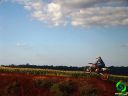 DSC05757.jpg
