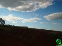 DSC05780.jpg