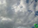 DSC05790.jpg