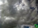 DSC05791.jpg