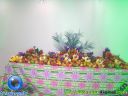 DSC02418.jpg
