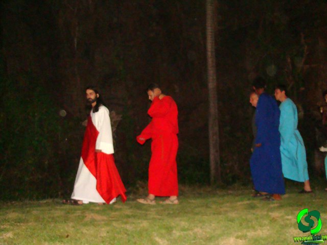 DSC08996.jpg