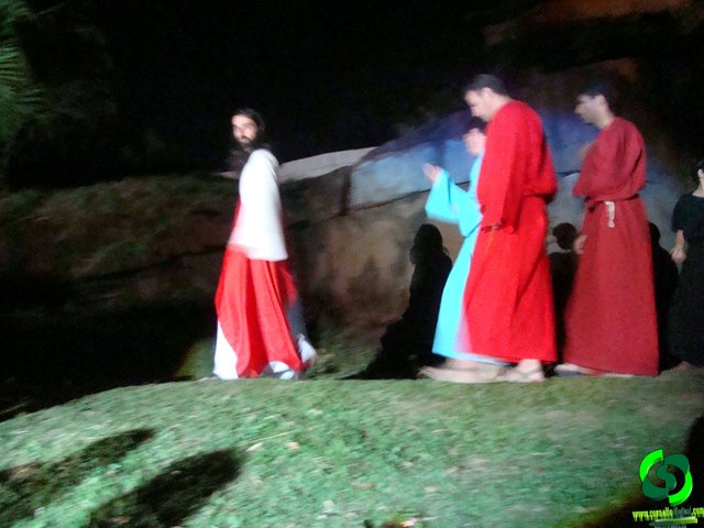 DSC08999.jpg