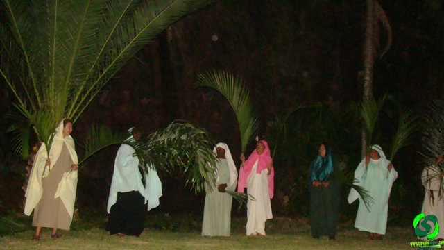 DSC09038.jpg