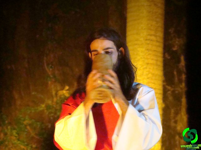 DSC09070.jpg