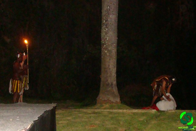 DSC09121.jpg