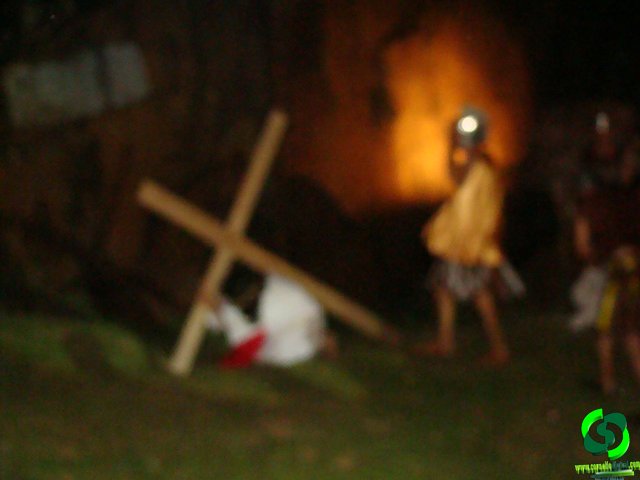 DSC09176.jpg