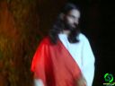 DSC08993.jpg
