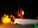 DSC09073.jpg