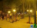 DSC09066.jpg
