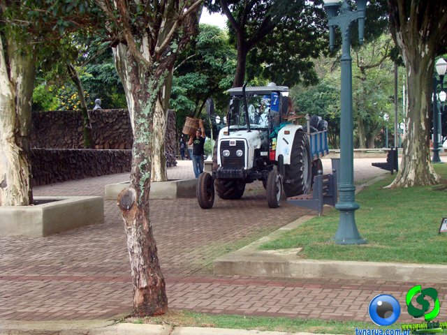 DSC00518.jpg