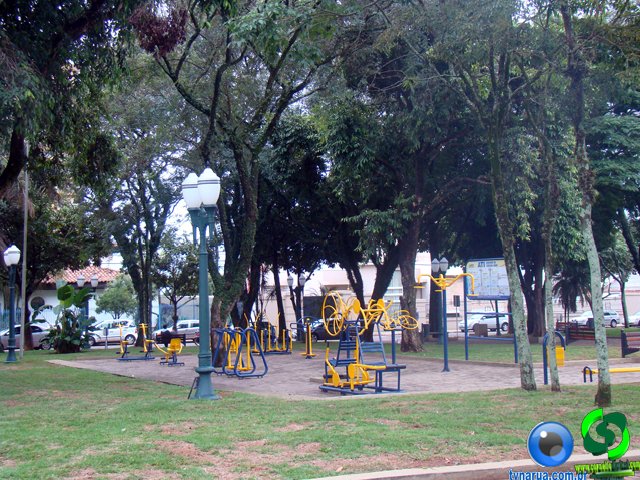 DSC00525.jpg
