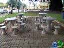 DSC00529.jpg