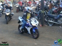 DSC03962.jpg