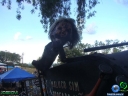 DSC04035.jpg
