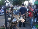 DSC04054.jpg