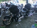 DSC04064.jpg