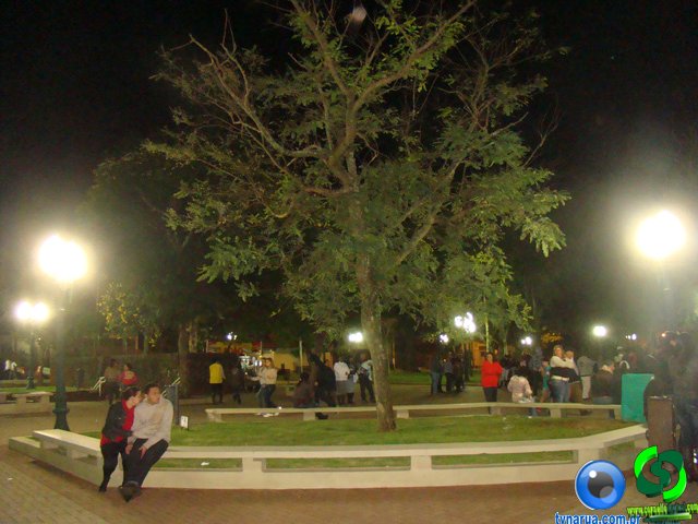 DSC01179.jpg