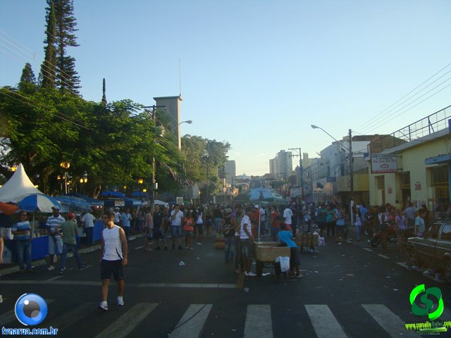 DSC01164.jpg