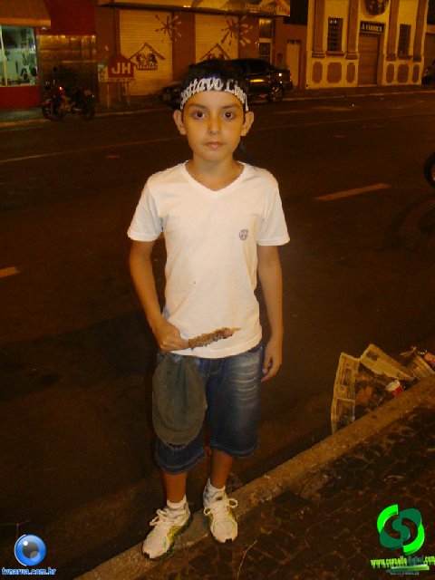 DSC01168.jpg