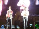DSC01537.jpg