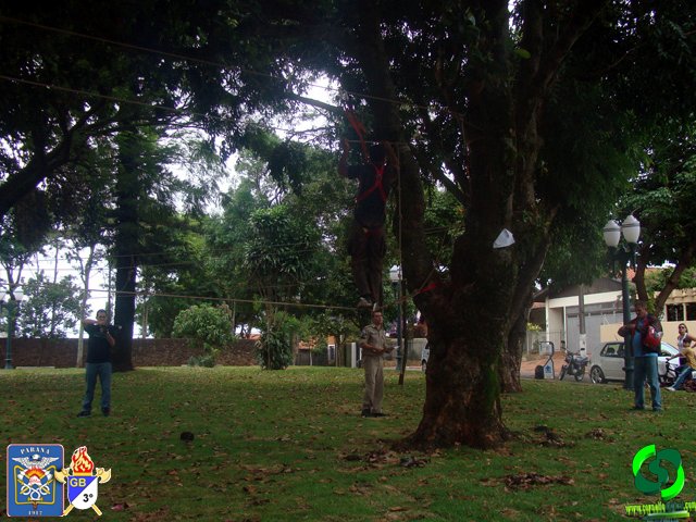 DSC09078.jpg