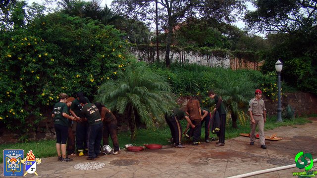 DSC09333.jpg