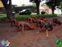 DSC09271.jpg