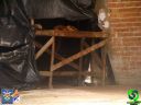 DSC09391.jpg