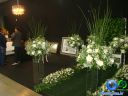 DSC03496.jpg