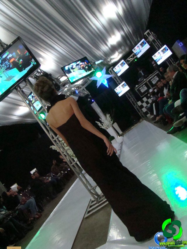 DSC03694.jpg
