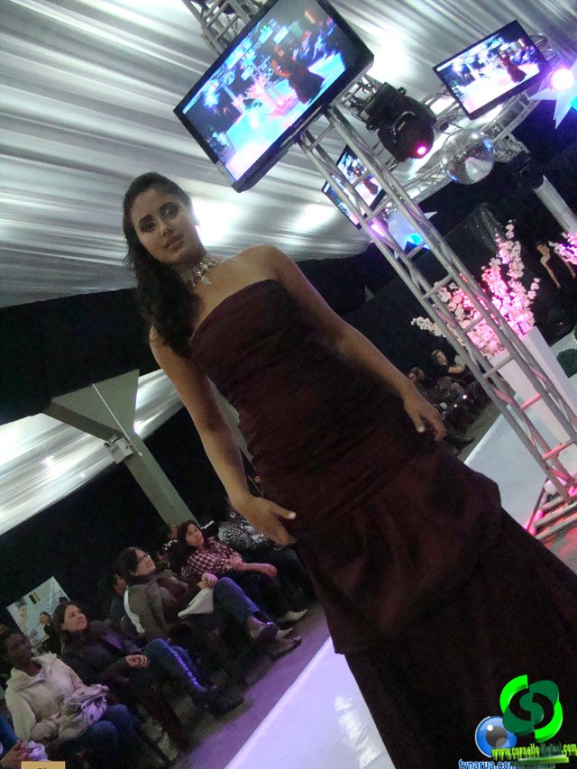 DSC03698.jpg