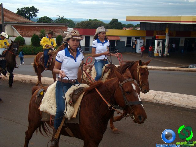DSC07153.jpg