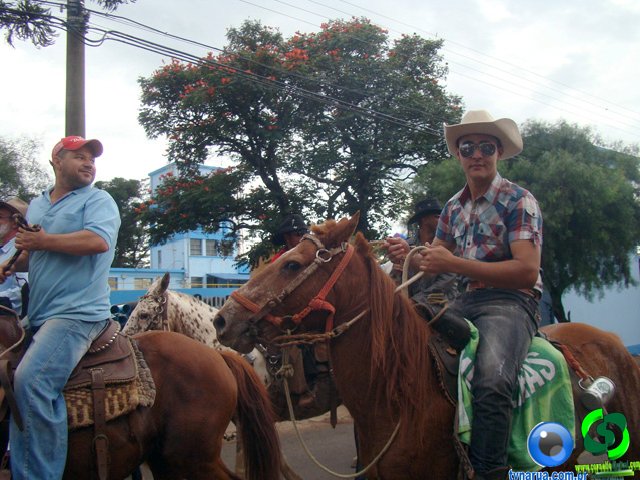 DSC07224.jpg