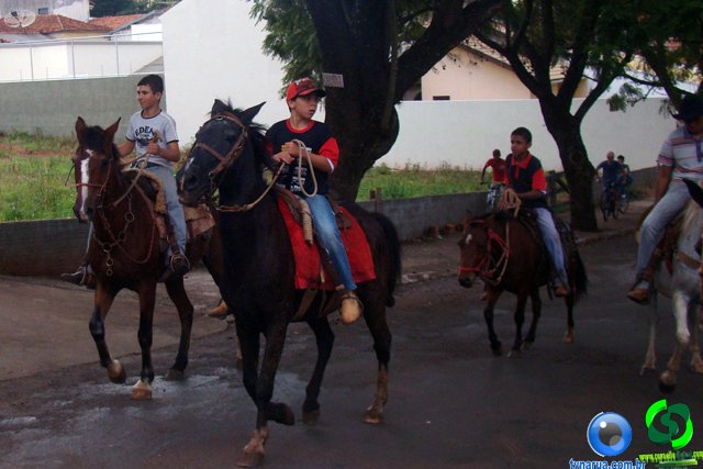 DSC07267.jpg