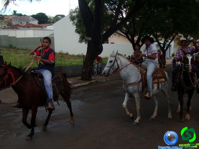 DSC07268.jpg