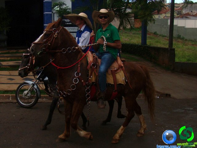 DSC07287.jpg