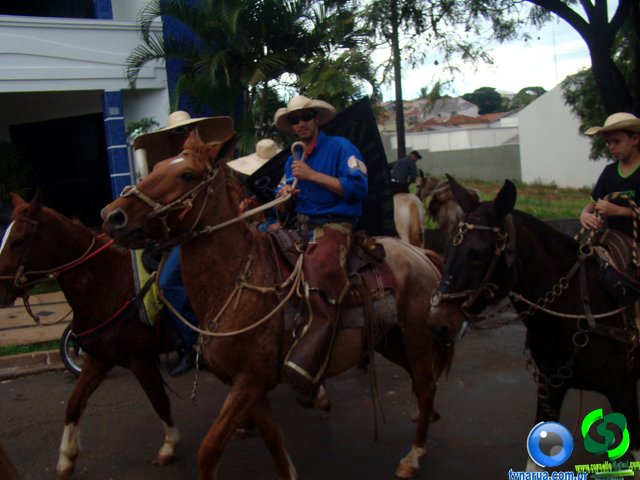 DSC07305.jpg