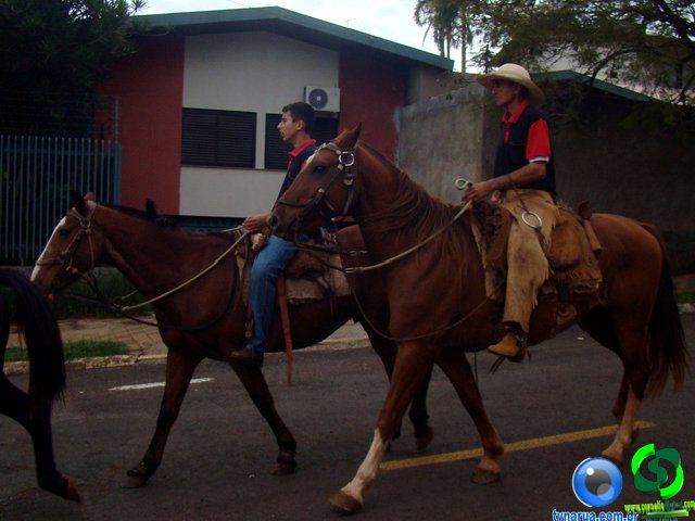 DSC07332.jpg